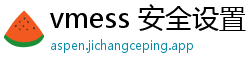 vmess 安全设置